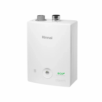 Газовый настенный котел BR-R24 - WiFi