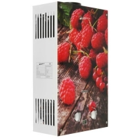 Водонагреватель газовый проточный WertRus 10 EG Berry